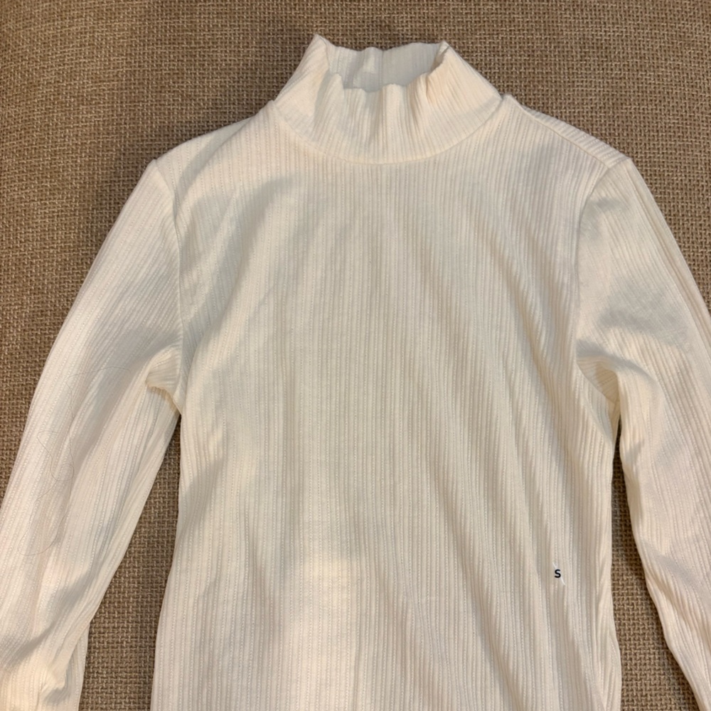 American Eagle Outfitters White Ribbed Turtleneck and AE Black V Neck bodysuit
